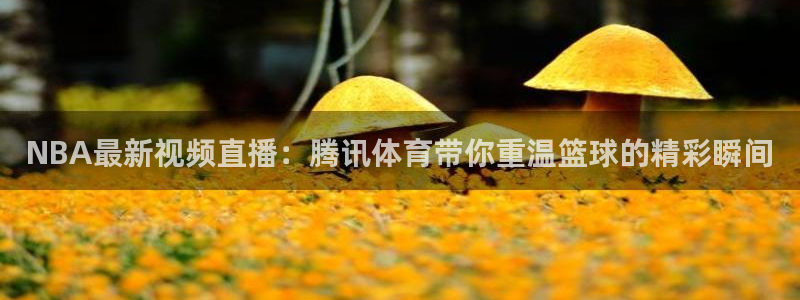 NBA最新视频直播：腾讯体育带你重温篮球的精彩瞬间
