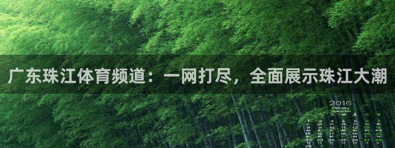 广东珠江体育频道：一网打尽，全面展示珠江大潮