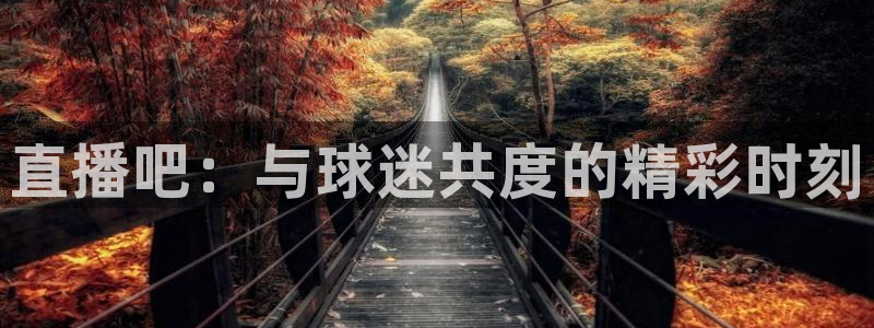 直播吧：与球迷共度的精彩时刻