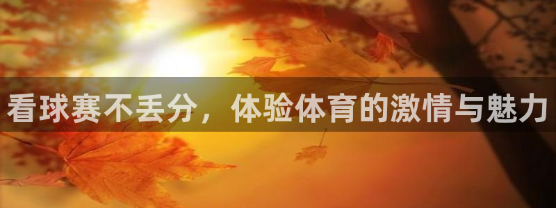 看球赛不丢分，体验体育的激情与魅力