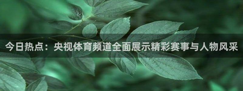 今日热点：央视体育频道全面展示精彩赛事与人物风采
