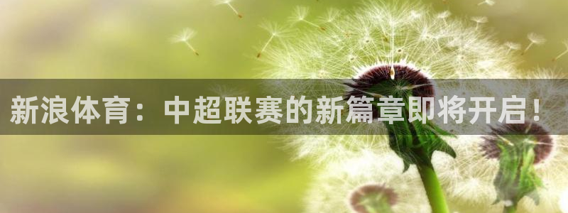 新浪体育：中超联赛的新篇章即将开启！