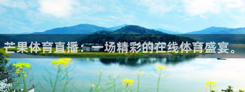 芒果体育直播：一场精彩的在线体育盛宴。
