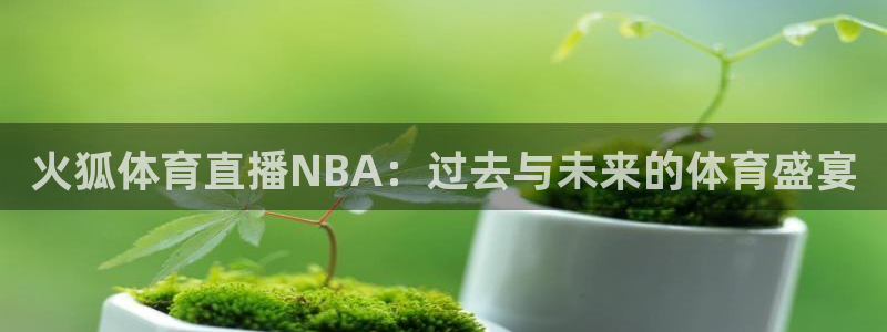 火狐体育直播NBA：过去与未来的体育盛宴