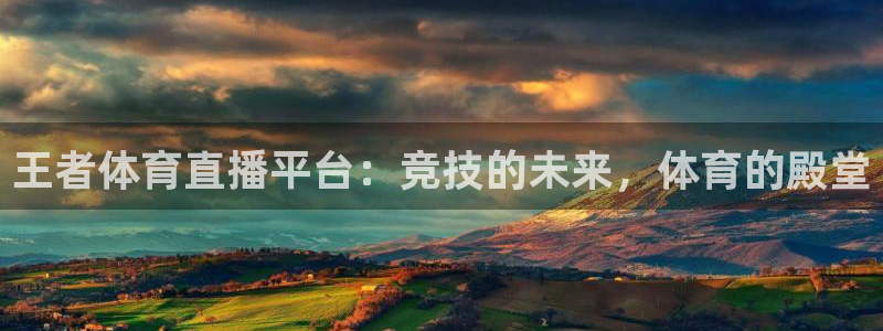 王者体育直播平台：竞技的未来，体育的殿堂