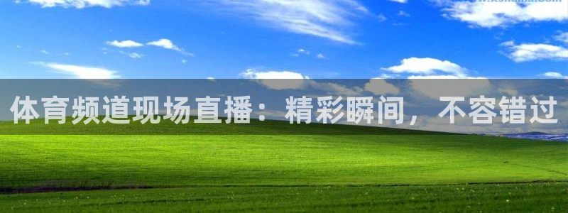 体育频道现场直播：精彩瞬间，不容错过
