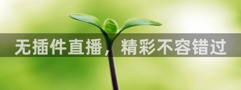 无插件直播，精彩不容错过