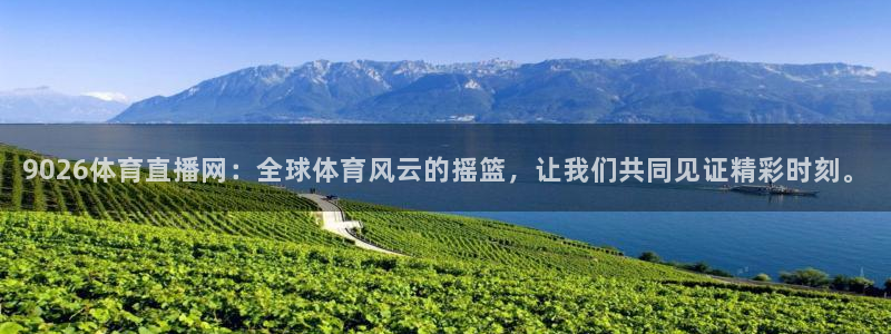 9026体育直播网：全球体育风云的摇篮，让我们共同见证精彩时刻。