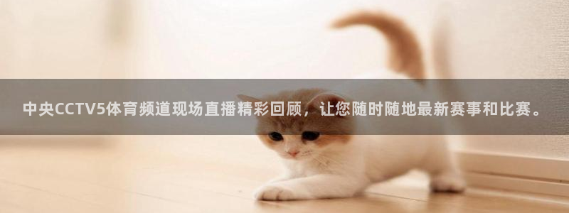 中央CCTV5体育频道现场直播精彩回顾，让您随时随地最新赛事和比赛。