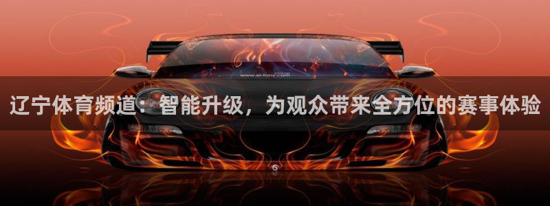 辽宁体育频道：智能升级，为观众带来全方位的赛事体验