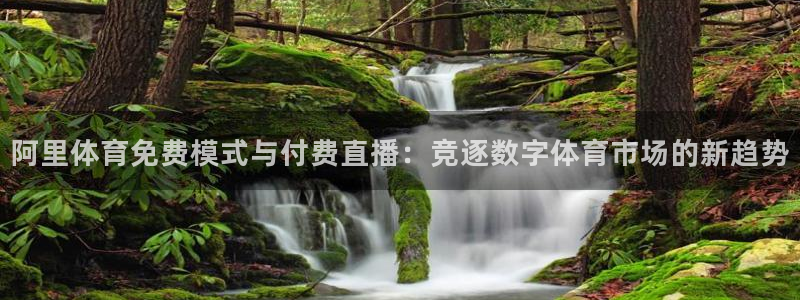 阿里体育免费模式与付费直播：竞逐数字体育市场的新趋势