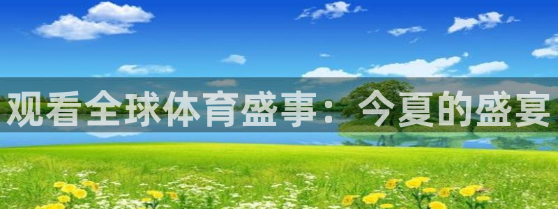 观看全球体育盛事：今夏的盛宴