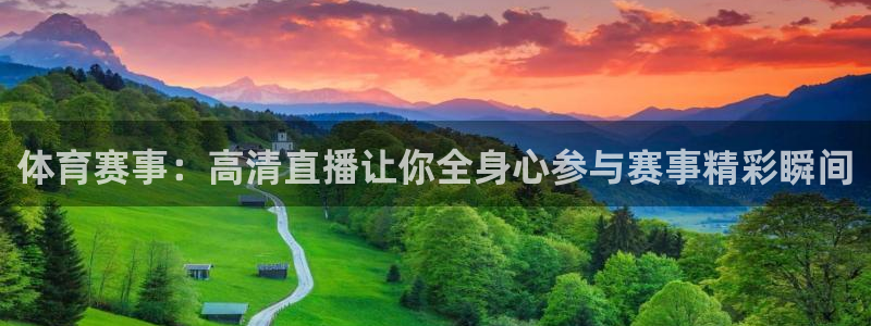 体育赛事：高清直播让你全身心参与赛事精彩瞬间