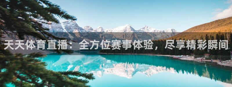天天体育直播：全方位赛事体验，尽享精彩瞬间