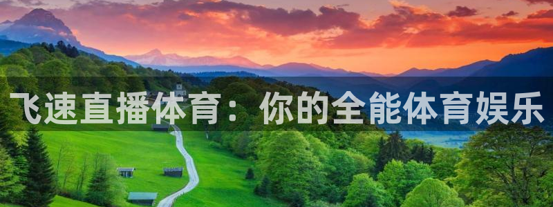 飞速直播体育：你的全能体育娱乐