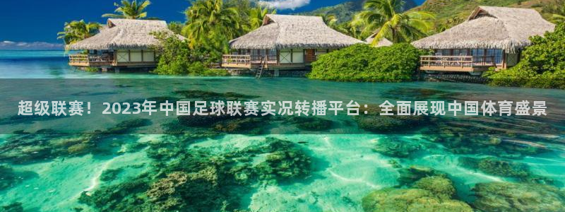 超级联赛！2023年中国足球联赛实况转播平台：全面展现中国体育盛景
