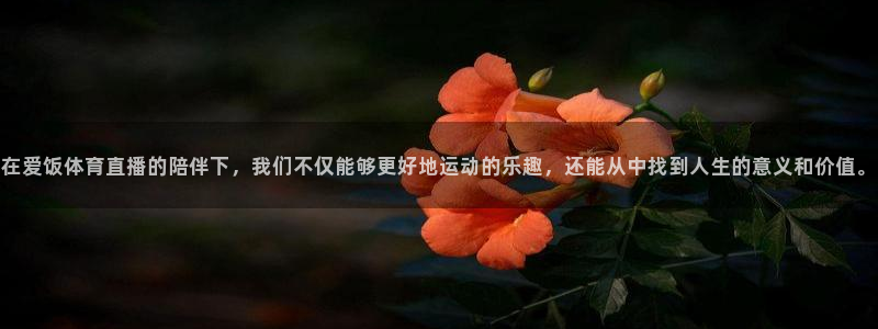 在爱饭体育直播的陪伴下，我们不仅能够更好地运动的乐趣，还能从中找到人生的意义和价值。