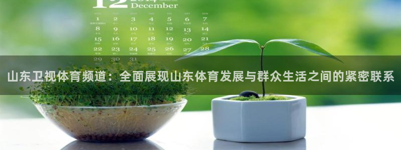 山东卫视体育频道：全面展现山东体育发展与群众生活之间的紧密联系