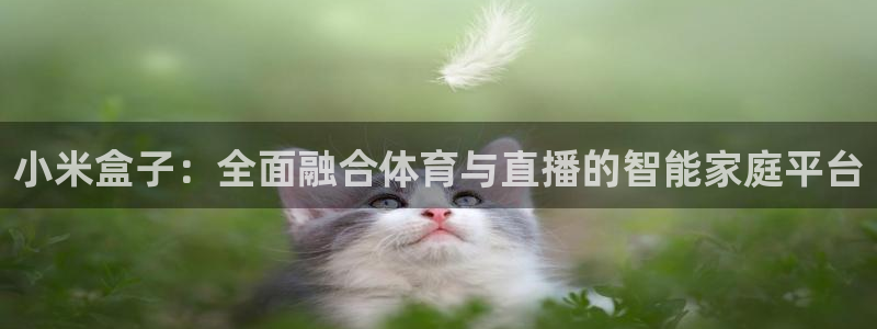 小米盒子：全面融合体育与直播的智能家庭平台