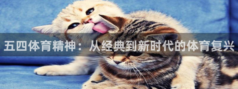 五四体育精神：从经典到新时代的体育复兴