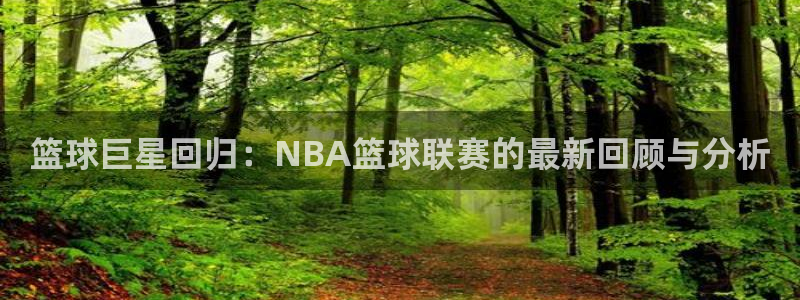 篮球巨星回归：NBA篮球联赛的最新回顾与分析
