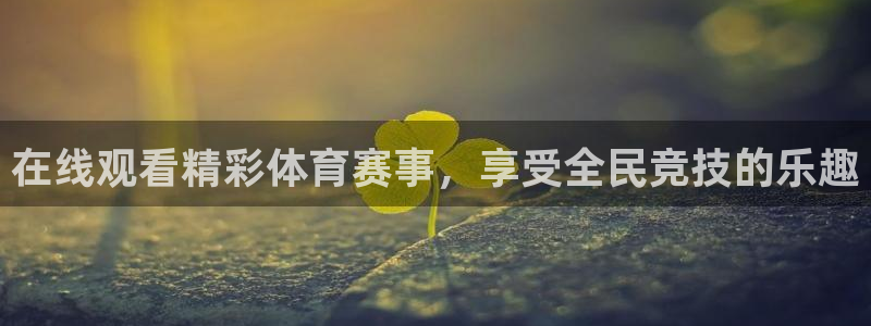 在线观看精彩体育赛事，享受全民竞技的乐趣