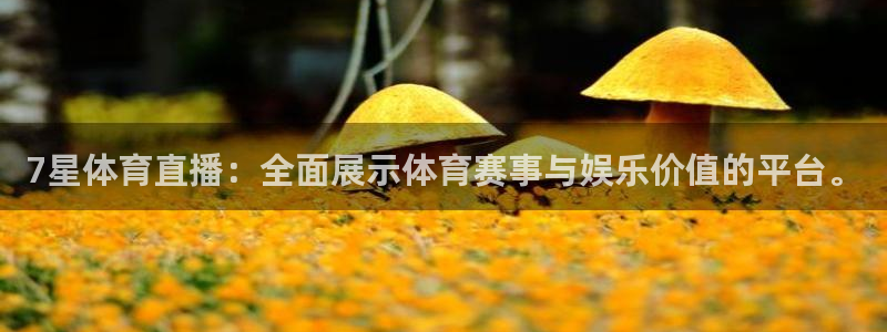 7星体育直播：全面展示体育赛事与娱乐价值的平台。