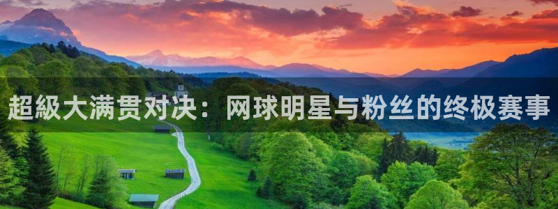 超級大满贯对决：网球明星与粉丝的终极赛事