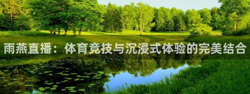 雨燕直播：体育竞技与沉浸式体验的完美结合