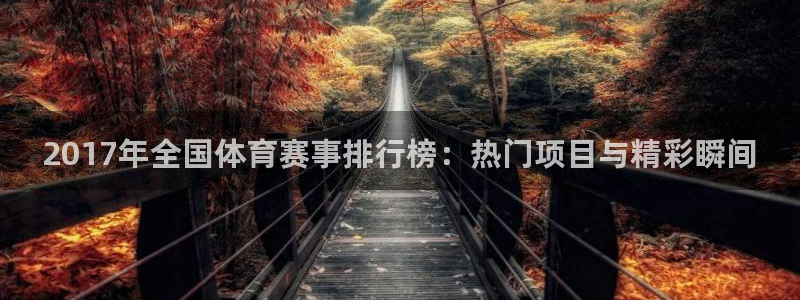 2017年全国体育赛事排行榜：热门项目与精彩瞬间
