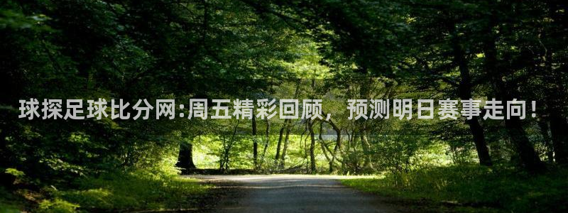 球探足球比分网:周五精彩回顾，预测明日赛事走向！