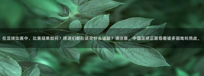 在足球比赛中，比赛结果如何？球迷们都在谈论什么话题？请注意，中国足球正面临着诸多困难和挑战。
