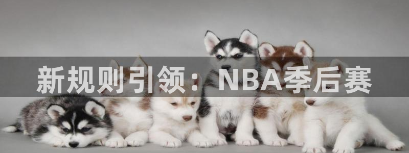新规则引领：NBA季后赛